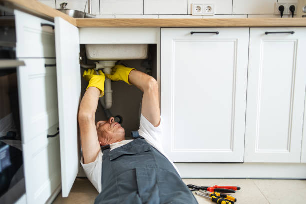 Best Local Plumber Services  in Anchorage, AK